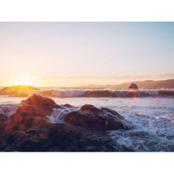 Fantastic Bronze Plate fr-FR